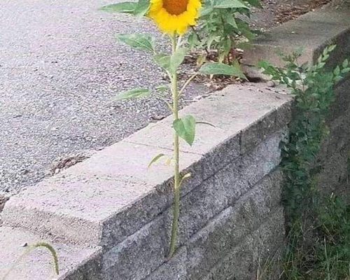 20190612_015112496_iOS